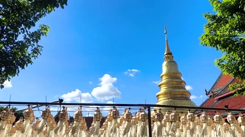 Pagoda2 Stock Footage 320035379