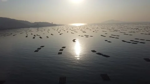 Pai Lai sunset Stock Footage 168720658