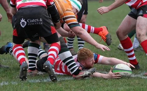 Paignton, Devon, England: Paignton second XV vs Plymouth Argum (04/02/2023) 스톡 사진