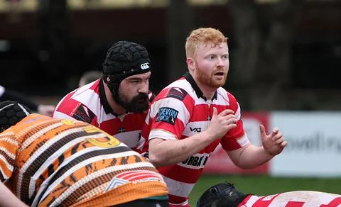 Paignton, Devon, England: Paignton second XV vs Plymouth Argum (04/02/2023) 스톡 사진