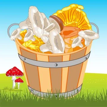 Pail with mushroom Stock Illustration