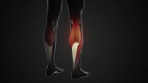 Pain and injury in the Gastrocnemius Stock Video Pond5