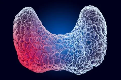 Pain in Thyroid concept. Ghost light effect, x-ray hologram. 3D rendering Stock Illustration