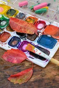 Paint and autumn Stock Photos