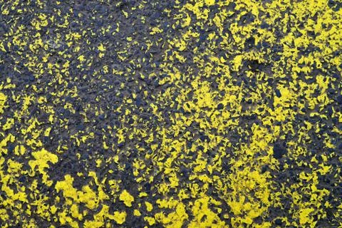 Paint asphalt texture Stock Photos
