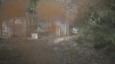 Paint ball - game - slow motion Stock Footage 217378802