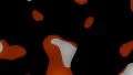 Paint blobs flowing abstract background orange HD Footage