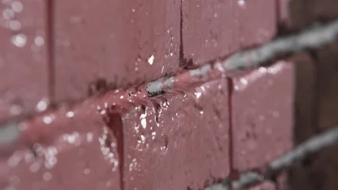 Paint a brick wall Vidéo 112128213