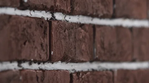 Paint a brick wall Vidéo 112128718