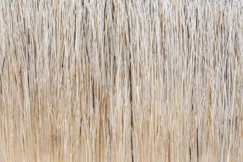 Paint brush for background Stock Photos