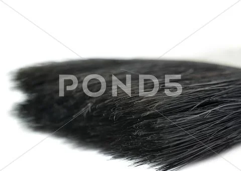 Paint brush bristle over isolated white background Stock Photos
