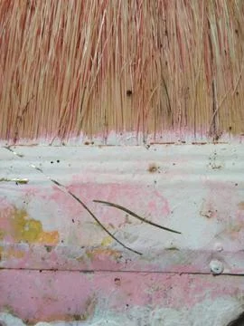 Paint brush 库存照片