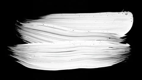 Paint Brush Stroke White Leaking and Dripping isolated on Black Background Stock Footage 222122305