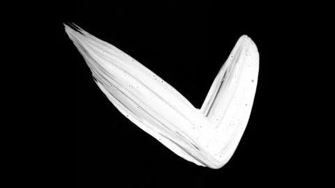 Paint Brush Stroke White Leaking and Dripping isolated on Black Background Stock Footage 222127322