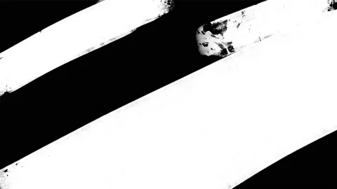 Paint brush transition Abstract stroke black and white background, animation of Stock Footage 221447830