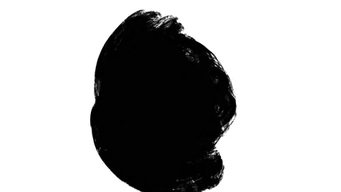 Paint brush transition Fast Abstract stroke black and white background, animatio Stock Footage 201221263