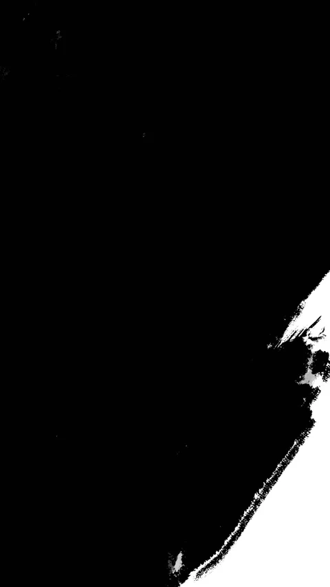 Paint brush transition vertical Fast Abstract stroke black and white background Stock Footage 233193875