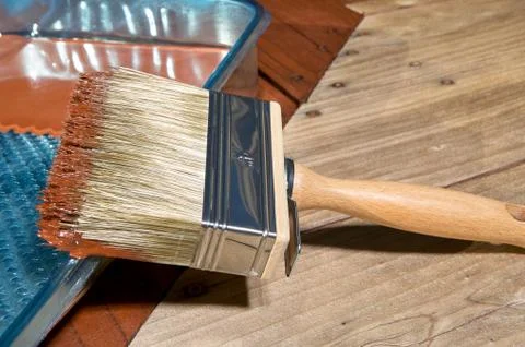 Paint brush with varnish Stock Photos