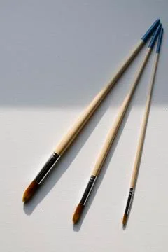 Paint Brushes on Canvas Foto stock