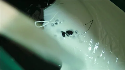 Paint bucket blent Video stock 39093109