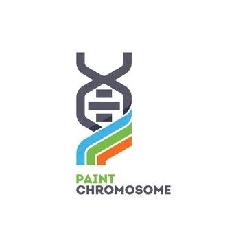 Paint Chromosome Logo Stock Illustration