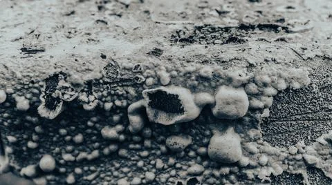 Paint damaged by temperature. Texture. Close up view Stock Photos