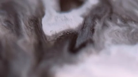 Paint drip fluid blend black white emulsion mix Stock Footage 292863917