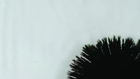 Paint drop black ink stain wet blotch splatter Video stock 255561462