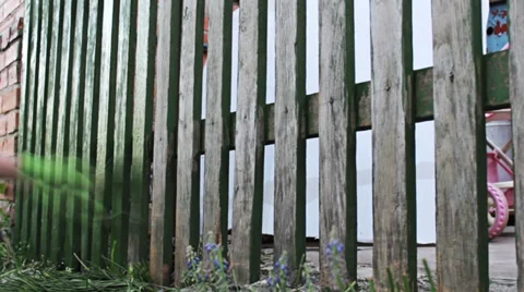 Paint the fence Stock-Footage 39711904