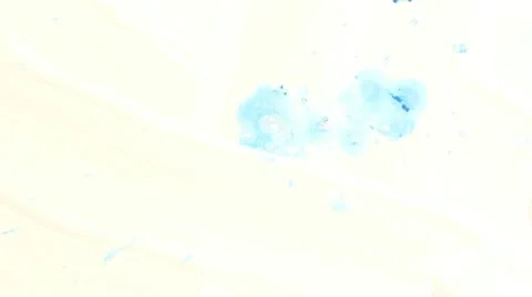 Paint Stock Footage 10793071