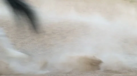 Paint horse lunging in paddock on a ranch. Stock Footage 59893823