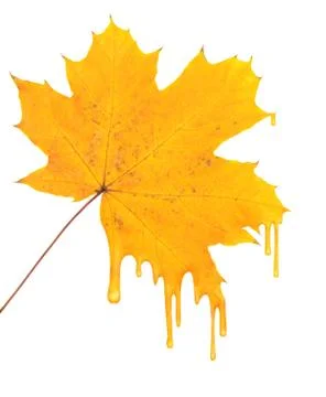 Paint Stock Illustration