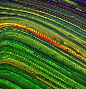 Paint marks Stock Photos