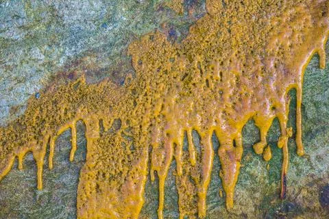 Paint or other liquid is splashed on the stone. Stock Photos