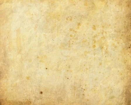 Paint PAL Видео 209607