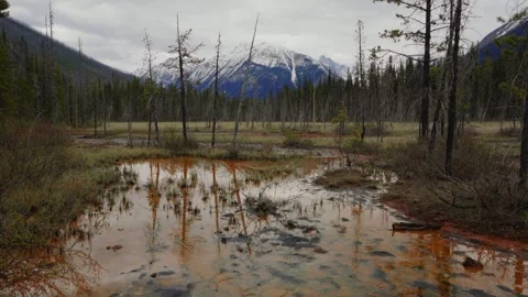 Paint Pots ochre beds with mountains in Kootenay National Park Stock Footage 332121979