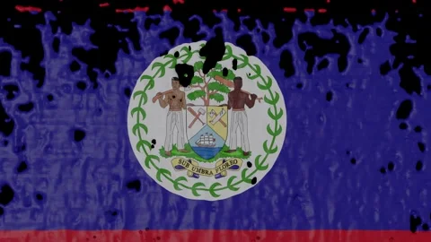 Paint Pouring of the Belizean Flag (w/ Matte) Stock Footage 284044848