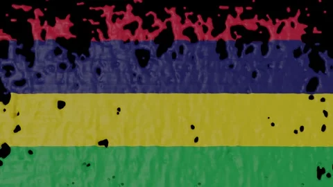 Paint Pouring of the Mauritian Flag (w/ Matte) Stock Footage 317693053