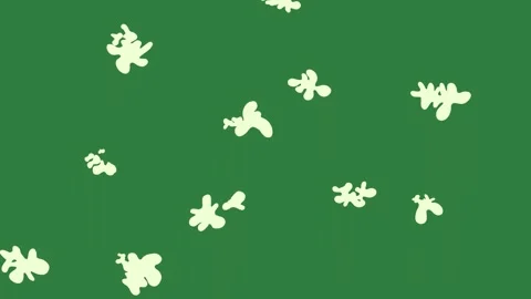 Paint Professional With Splashs Transparent Background Animation Stock Footage 338017483