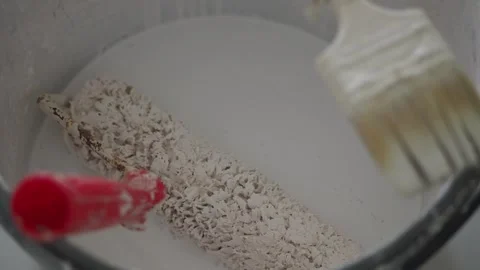 Paint Roller and Brush Resting in a Bucket of White Paint Stock Footage 347863126