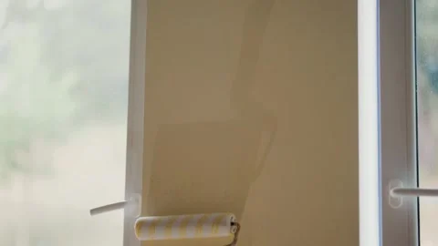 Paint roller applying primer or clear coat on wall near window, home renovation Stock Footage 345602575