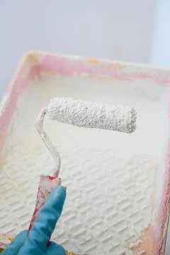 Paint roller on the background of a tray with paint. Stock Photos