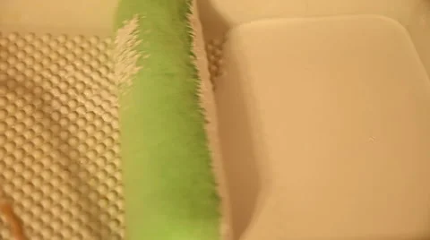 Paint Roller with Beige Color Stock-Footage 912533