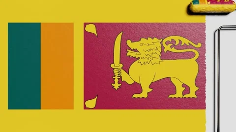 Paint roller with a chrome handle rolls paint flag Sri Lanka Vidéo 160407689