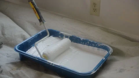 Paint roller in paint tray Stock Footage 290799970