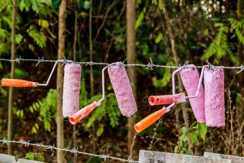 Paint roller painted on barbed wire Stock Photos
