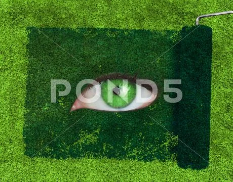 Paint roller revealing a green eye Stock Photos