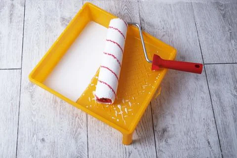 Paint roller in  tray with paint Fotos de archivo