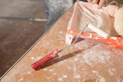 Paint roller in tray with paint. Stock Photos