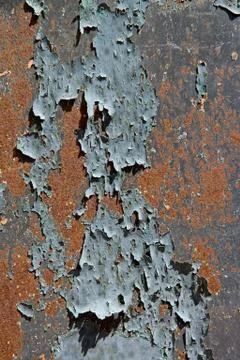 Paint scaled on rusty door Stock Photos